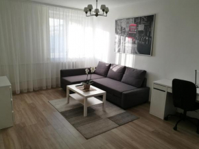 Отель Vilnius Town Apartment  Вильнюс